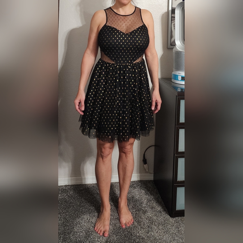 Express Medium Dress
